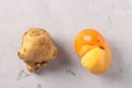 Ugly tomato and potato on gray background, Ugly food consept