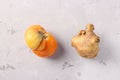 Ugly tomato and potato on gray background, Closeup, Ugly food consept