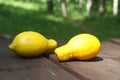 Trendy Ugly fruits. Strange shape lemons on wooden table outdoor, green garden background.