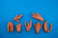 Ugly vegetables of abnormal shape. Funny conjoined carrots on a blue background. Selective focus, copy space. Concept - Food waste