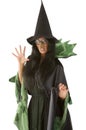 Ugly witch Royalty Free Stock Photo