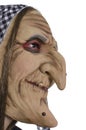 Ugly witch Royalty Free Stock Photo