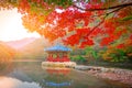 Uhwajeong pavilion, autumn in Naejangsan national park, South Korea