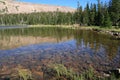 Uinta mountain lake Royalty Free Stock Photo