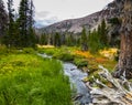 Uinta Mountains during the fall Royalty Free Stock Photo