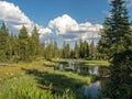 Uinta-Wasatch-Cache National Forest, Mirror Lake, Utah, United States, America, near Slat Lake and Park City Royalty Free Stock Photo