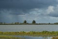 Uitzicht over Oostvaardersplassen, Overview of Oostvaardersplassen Royalty Free Stock Photo