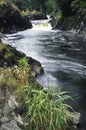 UK, Ceredigion, River Teifi Royalty Free Stock Photo