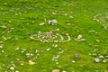 Uk coloured ring by the gras laid by people Royalty Free Stock Photo