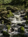 UK - Devon - Dartmoor Royalty Free Stock Photo