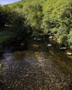 UK - Devon - Dartmoor - Fingle Bridge Royalty Free Stock Photo