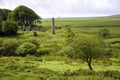 Industrial ruins at Powder Mills near Postbridge, Devon