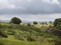 UK, Devon, Dartmoor, Powder Mills near Postbridge