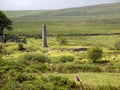 UK, Devon, Dartmoor, Powder Mills near Postbridge