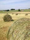 Uk, England, Derbyshire, Tissington, Hayfield