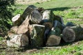 UK Habitat log pile Royalty Free Stock Photo