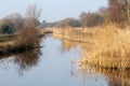 UK habitats Water course and marginals Royalty Free Stock Photo