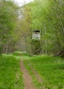 UK Habitats woodland ride