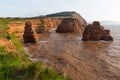 Uk Jurassic coast Sandstone rock stacks Ladram Bay Devon England UK