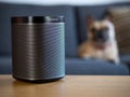 UK, October 2019: Sonos play black wireless speaker with pet dog in lounge