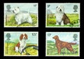 UK postage stamps of Dogs