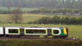 Uk railroad next to rapeseed field and sheep on another side under overcast rain. railway landscape