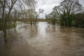 UK - South Yorkshire - Rotherham - Storm Dennis Floods River Don, Hooton Road, Kilnhurst, Rawmarsh, 8,30am 16th Feb 2020
