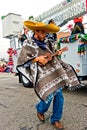 Ukelele player in parade Royalty Free Stock Photo