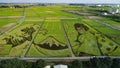 Ukiyoe art on a paddy field