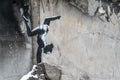 Ukraine, Borodyanka - Banksy graffiti on the wall