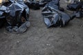 Staff working in the forensic service examine the bodies of several people who died