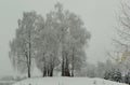 Ukraine, Carpathians, Dolyna, Taras Shevchenko\'s monument in the winter park