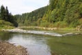 In Ukraine, in the Carpathians, the mountain river Prut flows Royalty Free Stock Photo