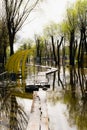 Ukraine, Chernihiv, April 18, 2023: Spring flood in Ukraine, rivers burst their banks. Flooding in Chernihiv on the Desna River