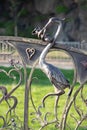 Ukraine Dnipro 10.07.2020 - forged sculpture of a stork with a child on a city bench in a park in the summer
