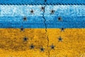 Ukraine Flag