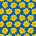 Ukraine flag. No war in Ukraine story size poster design. Ukraine flag from yellow flowers. Stop War. Royalty Free Stock Photo