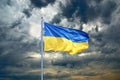 Ukraine flag. Ukrainian flag on black storm cloud sky.