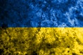 Ukraine grunge flag on old dirty wall