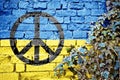 Ukraine grunge flag with peace sign on brick wall with ivy plant Royalty Free Stock Photo