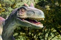 Ukraine, Khmelnitsky, October 2021. Dinosaur, megaraptor close up with open mouth and sharp teeth