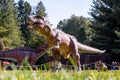 Ukraine, Khmelnitsky, October 2021. Dinosaur model in the park. Giant albertosaurus at an exhibition in the park on a summer sunny