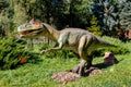 Ukraine, Khmelnitsky, October 2021. Dinosaur model in the park. Giant megaraptor at an exhibition in the park on a summer sunny