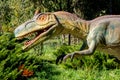 Ukraine, Khmelnitsky, October 2021. The head of a megaraptor with sharp teeth in profile