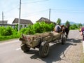 Ukraine, Khust - May 1, 2018: A cart pulled by two horses rides on a paved rural road in Khust. Simple modern life of Ukrainian v Royalty Free Stock Photo