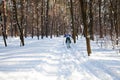 Ukraine, Kiev, City Forest in March, 2018. Active rest of retiree.Mature woman moving on skies along forest road on winter day Royalty Free Stock Photo