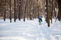 Ukraine, Kiev, City Forest in March, 2018. Active rest of retiree woman.Full length of mature woman skiing in snowy forest Royalty Free Stock Photo