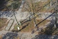 Ukraine,Kiev, Kurchatov street. 10/17/2019. Janitors clean the foliage