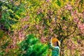 Ukraine, Kiev -May 05, 2021:A girl in a hat photographs flowering trees in the spring in the garden