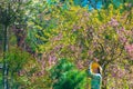 Ukraine, Kiev -May 05, 2021:A girl in a hat photographs flowering trees in the spring in the garden